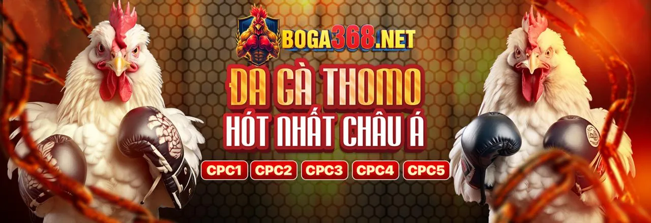 Đá Gà Trực Tuyến Hấp Dẫn tại Baowin Code