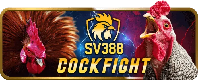Video slot hiện đại tại Baowin Code